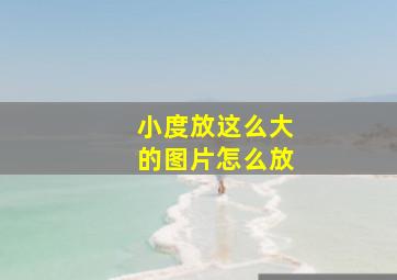 小度放这么大的图片怎么放