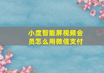 小度智能屏视频会员怎么用微信支付