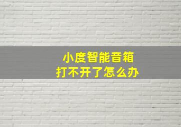 小度智能音箱打不开了怎么办