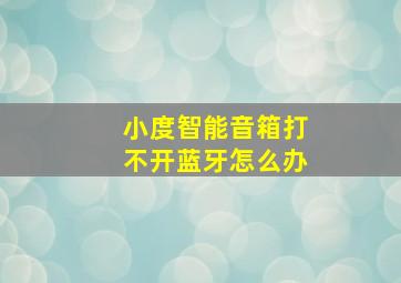 小度智能音箱打不开蓝牙怎么办