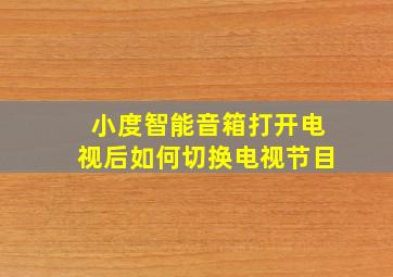 小度智能音箱打开电视后如何切换电视节目