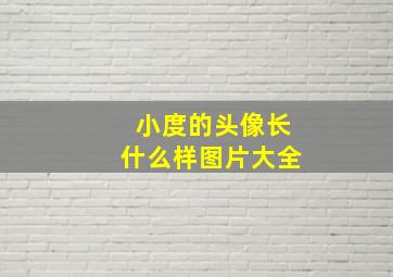 小度的头像长什么样图片大全