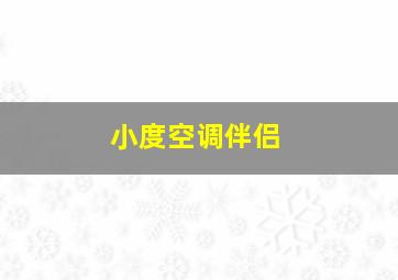 小度空调伴侣