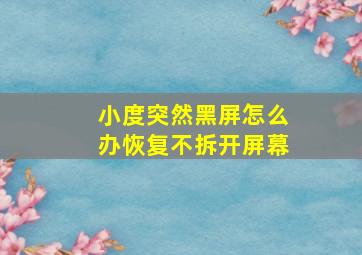 小度突然黑屏怎么办恢复不拆开屏幕