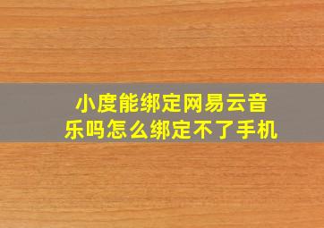 小度能绑定网易云音乐吗怎么绑定不了手机