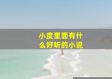 小度里面有什么好听的小说