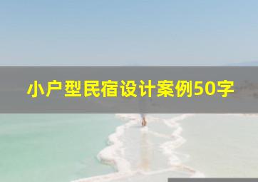 小户型民宿设计案例50字