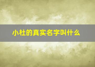 小杜的真实名字叫什么