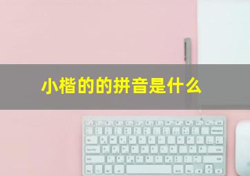 小楷的的拼音是什么