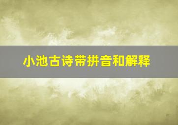 小池古诗带拼音和解释