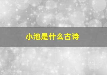 小池是什么古诗