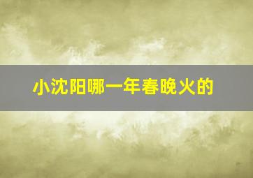 小沈阳哪一年春晚火的