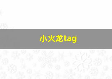 小火龙tag