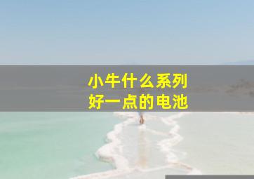 小牛什么系列好一点的电池