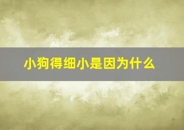 小狗得细小是因为什么