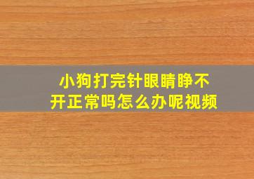 小狗打完针眼睛睁不开正常吗怎么办呢视频