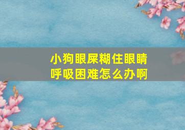 小狗眼屎糊住眼睛呼吸困难怎么办啊