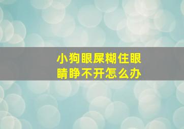 小狗眼屎糊住眼睛睁不开怎么办