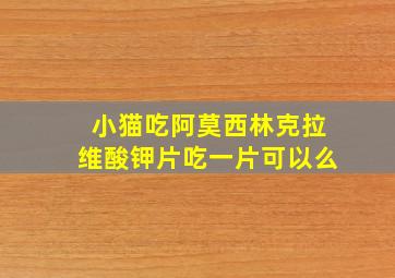 小猫吃阿莫西林克拉维酸钾片吃一片可以么