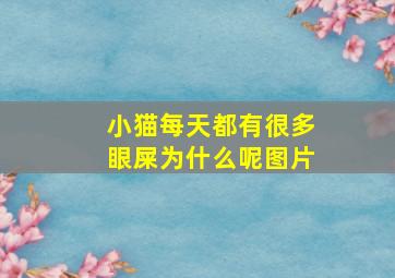 小猫每天都有很多眼屎为什么呢图片