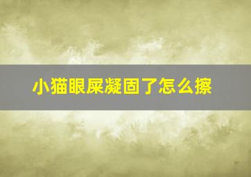 小猫眼屎凝固了怎么擦