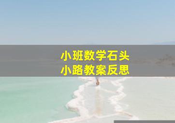 小班数学石头小路教案反思