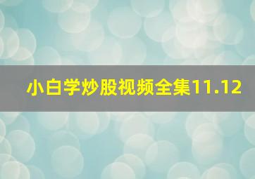 小白学炒股视频全集11.12