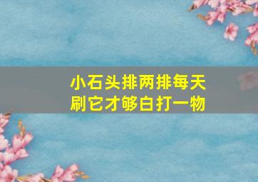 小石头排两排每天刷它才够白打一物