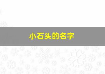 小石头的名字