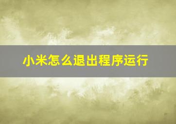 小米怎么退出程序运行