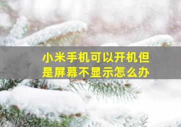 小米手机可以开机但是屏幕不显示怎么办