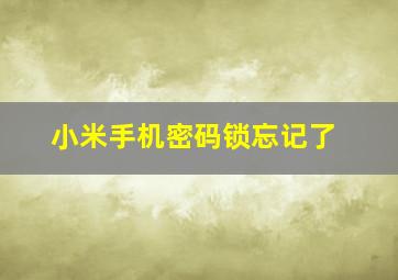 小米手机密码锁忘记了