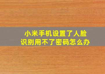 小米手机设置了人脸识别用不了密码怎么办