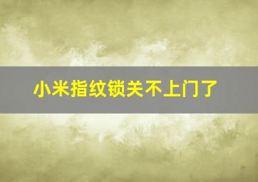 小米指纹锁关不上门了