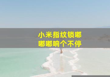 小米指纹锁嘟嘟嘟响个不停