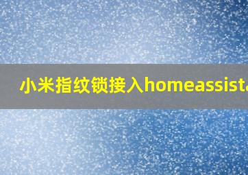 小米指纹锁接入homeassistant