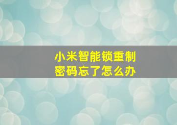 小米智能锁重制密码忘了怎么办