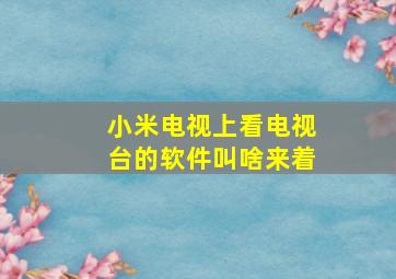 小米电视上看电视台的软件叫啥来着