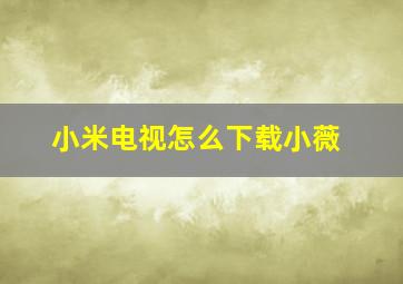 小米电视怎么下载小薇