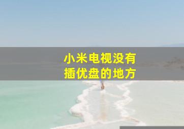 小米电视没有插优盘的地方