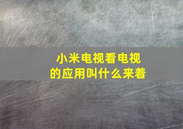 小米电视看电视的应用叫什么来着