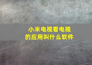 小米电视看电视的应用叫什么软件