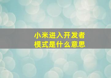 小米进入开发者模式是什么意思