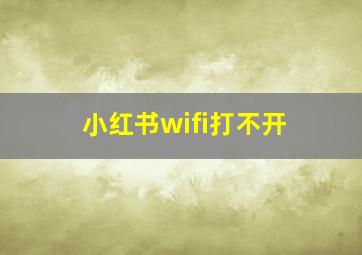 小红书wifi打不开