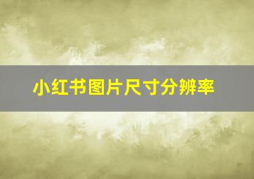 小红书图片尺寸分辨率