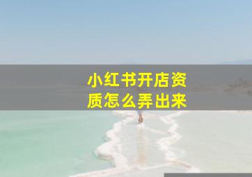 小红书开店资质怎么弄出来