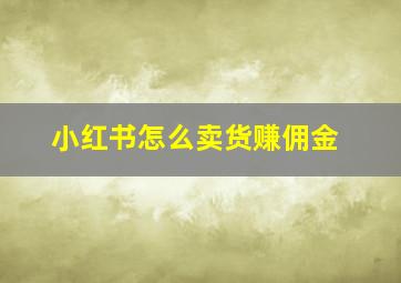 小红书怎么卖货赚佣金