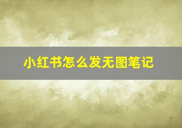 小红书怎么发无图笔记