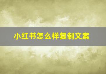 小红书怎么样复制文案