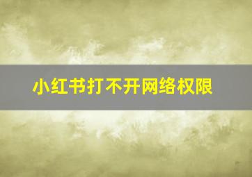 小红书打不开网络权限